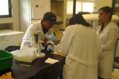 Alumnos trabajando en laboratorio.