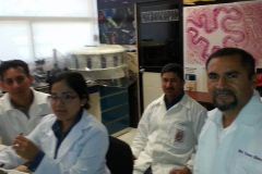 Análisis de muestras de huachinango por estudiantes de maestria de Recursos Naturales y Medio Ambiente