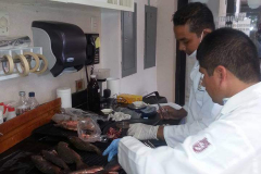 Analisis de muestras de huachinango por estudiantes de maestria de Recursos Naturales y Medio Ambiente