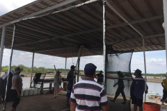 Construccion de jaulas