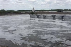 Cultivo experimental de pargo en jaulas