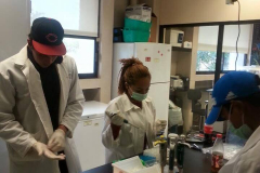 Estudiantes trabajando en laboratorio