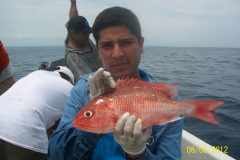 Muestra de Huachinango en el Faro, Oax.