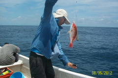 Pesca de muestras de Huachinango en Acapulco Gro