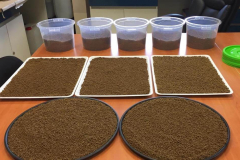 Preparacion de alimento para experimentos.